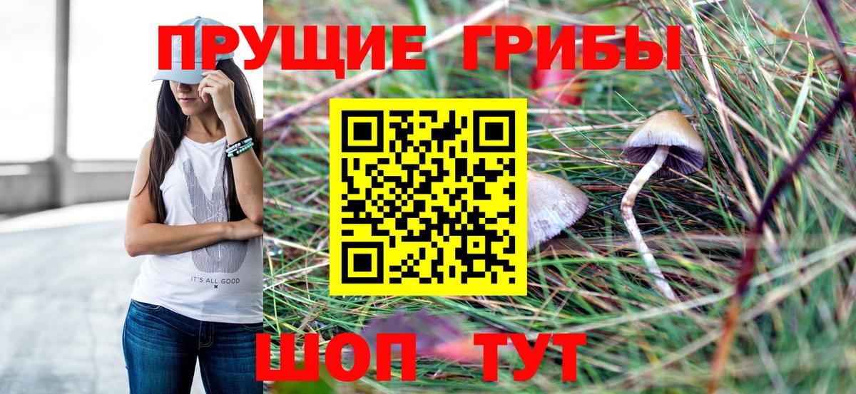 Фурманов  Псилоцибиновые грибы прущие грибы  Галлюциногенные грибы Cubensis  Вход с VPN 